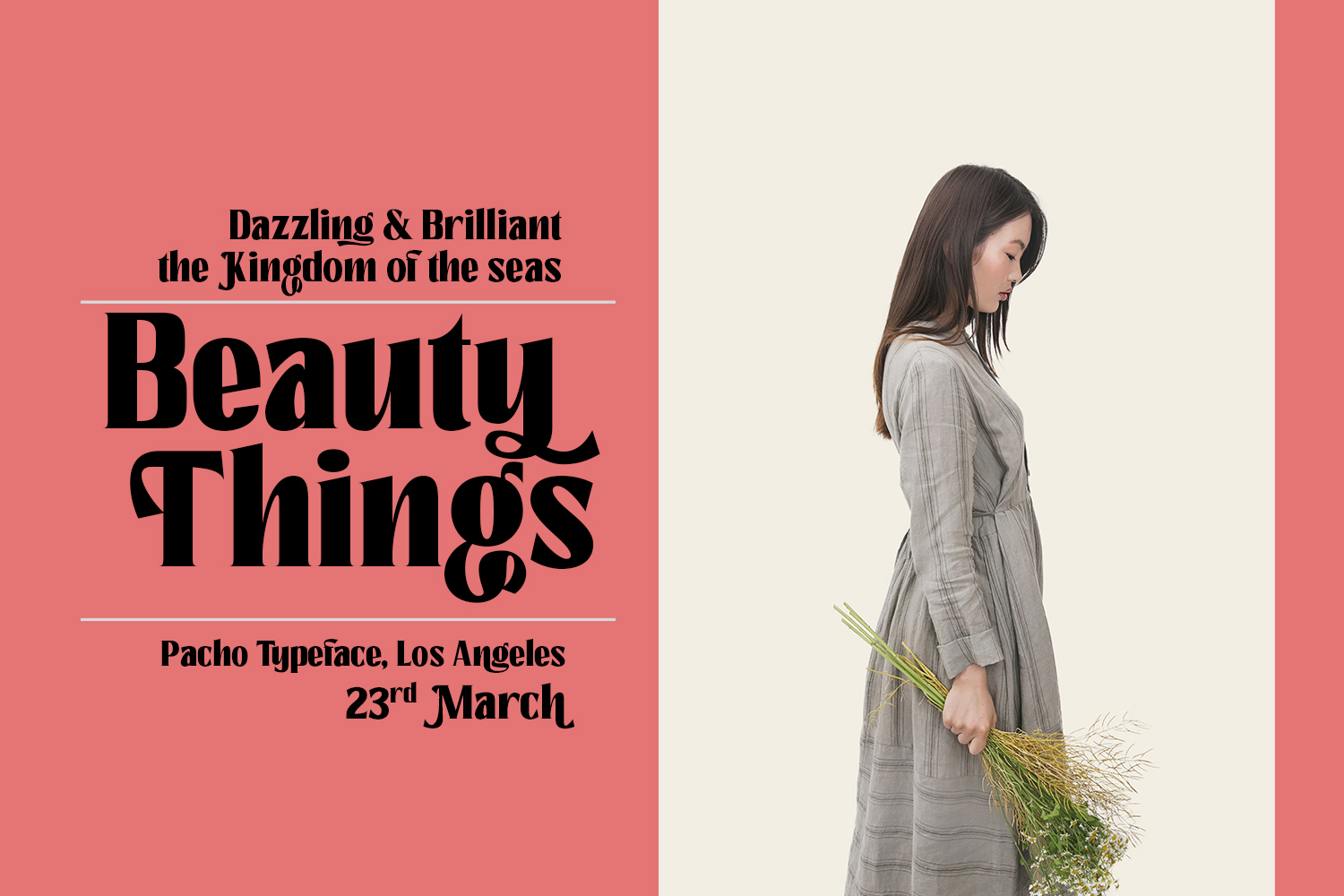 Pacho - Serif Family - Image 5