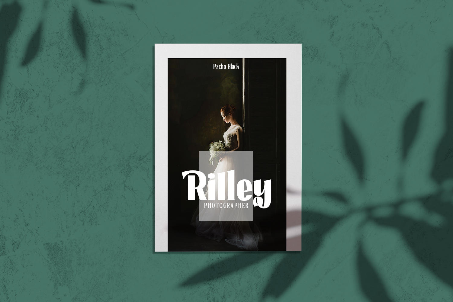 Pacho - Serif Family - Image 4