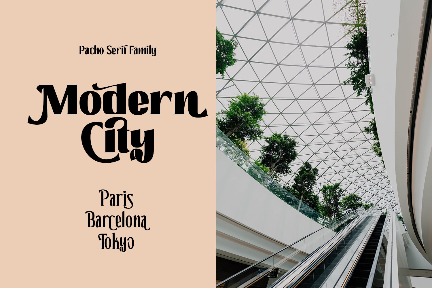 Pacho - Serif Family - Image 3