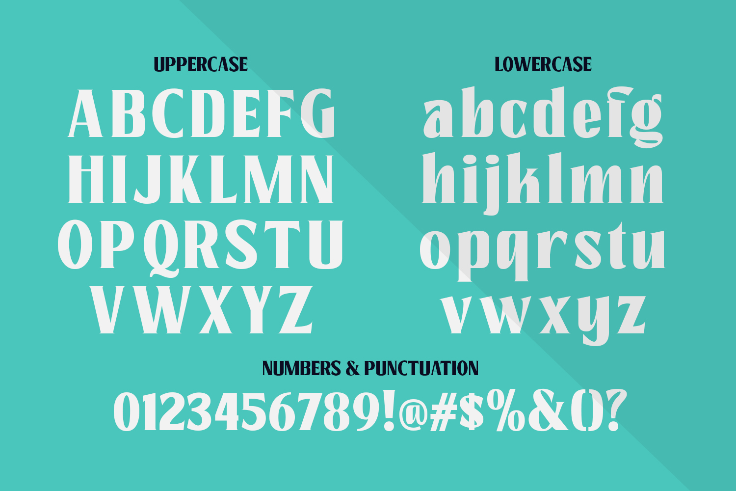 Pacho - Serif Family - Image 14