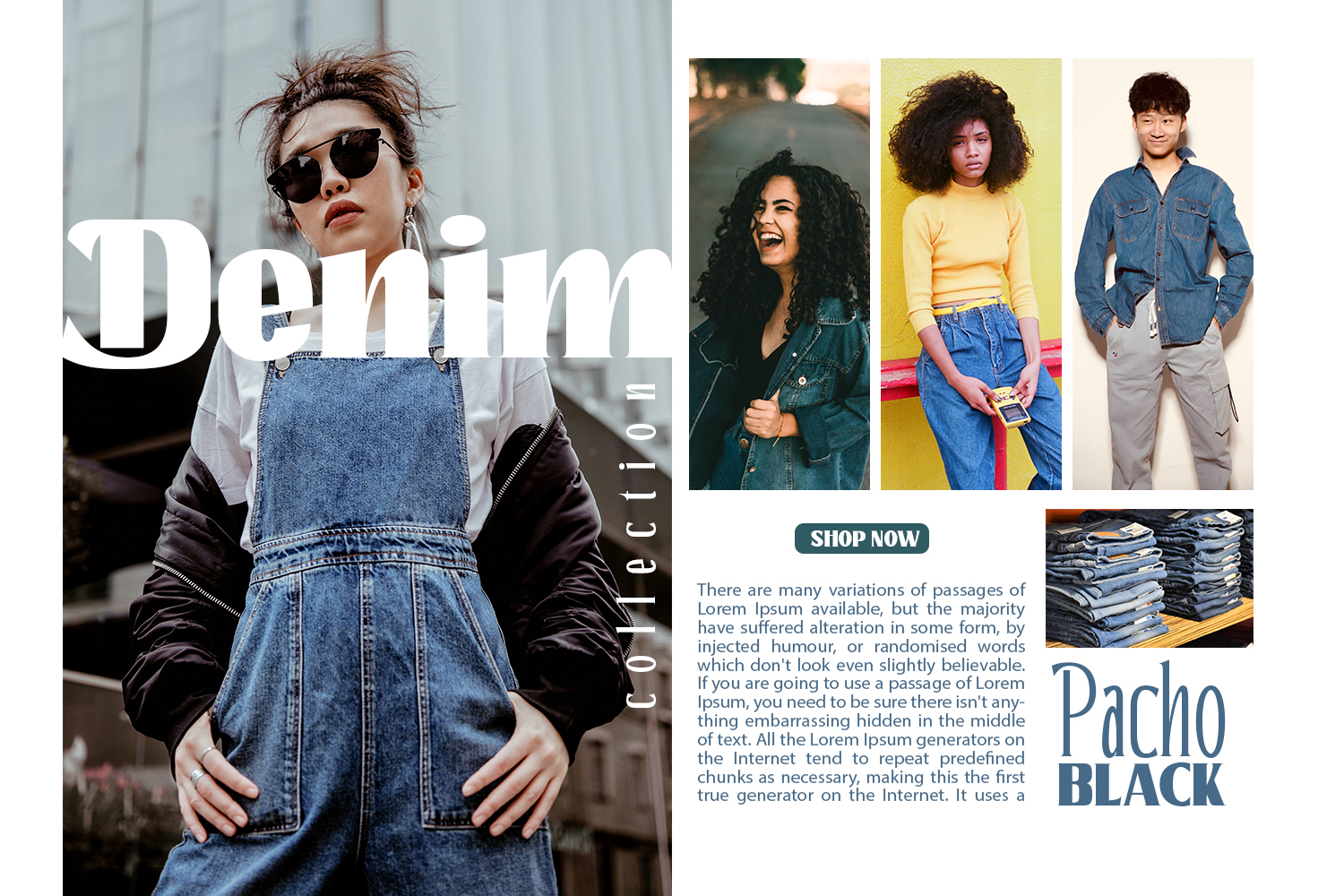 Pacho - Serif Family - Image 13