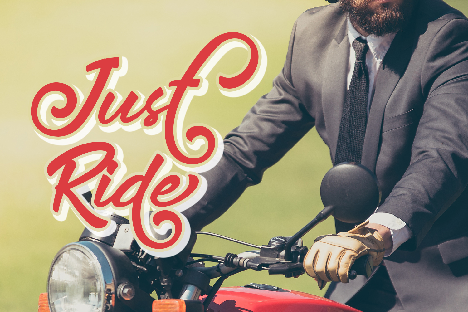 Delicate Script - Image 9