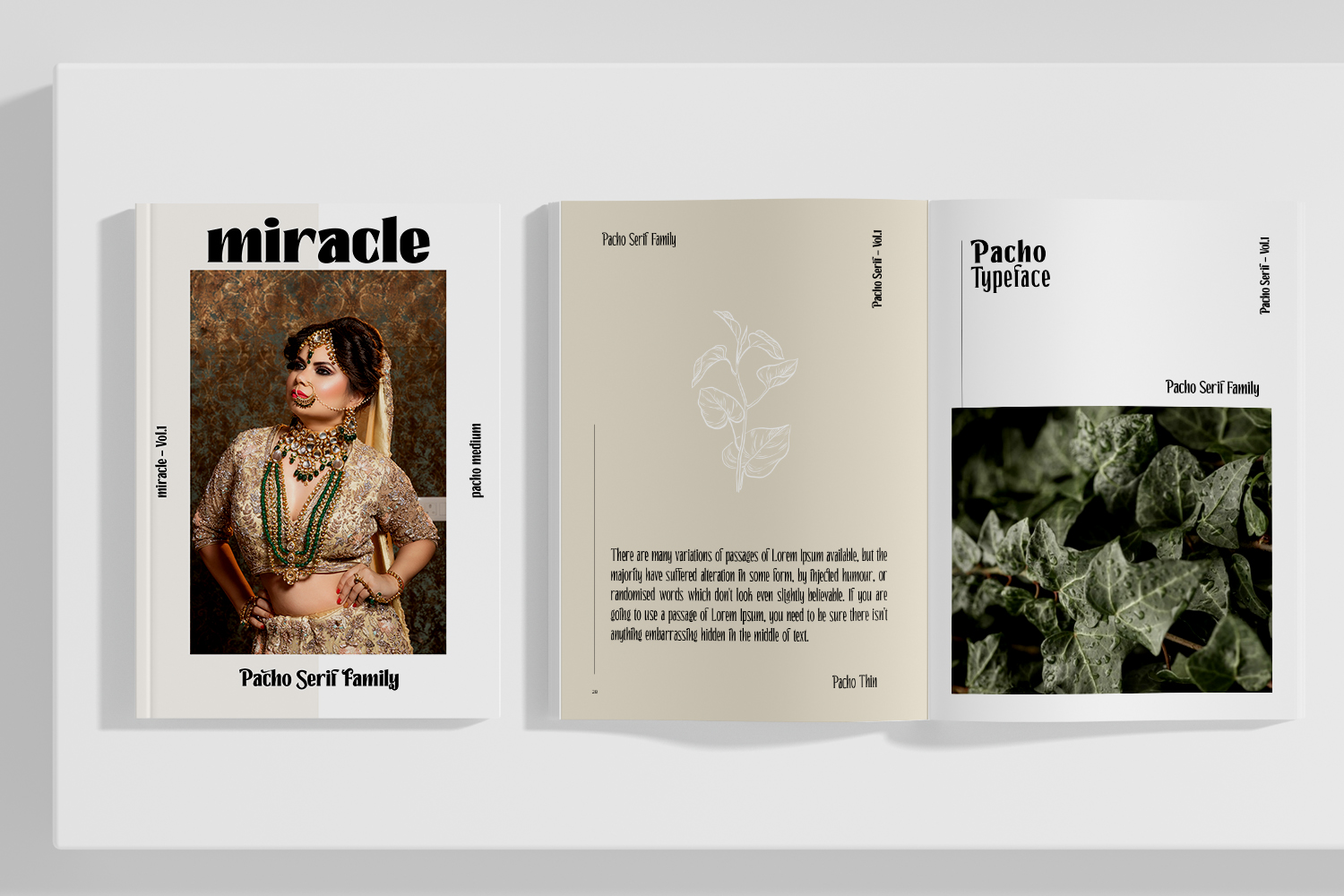 Pacho - Serif Family - Image 12