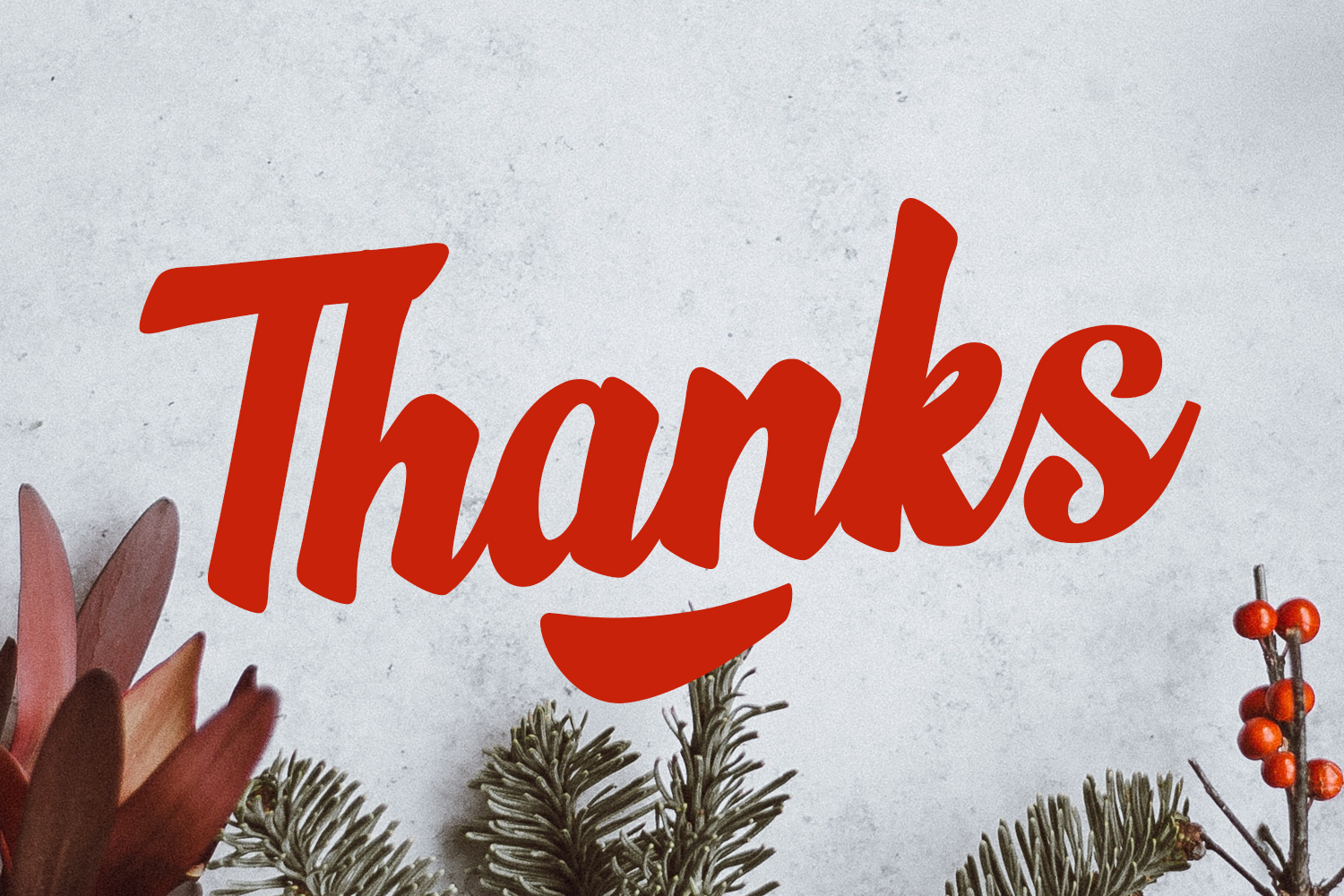 Phamelo Script - Image 3