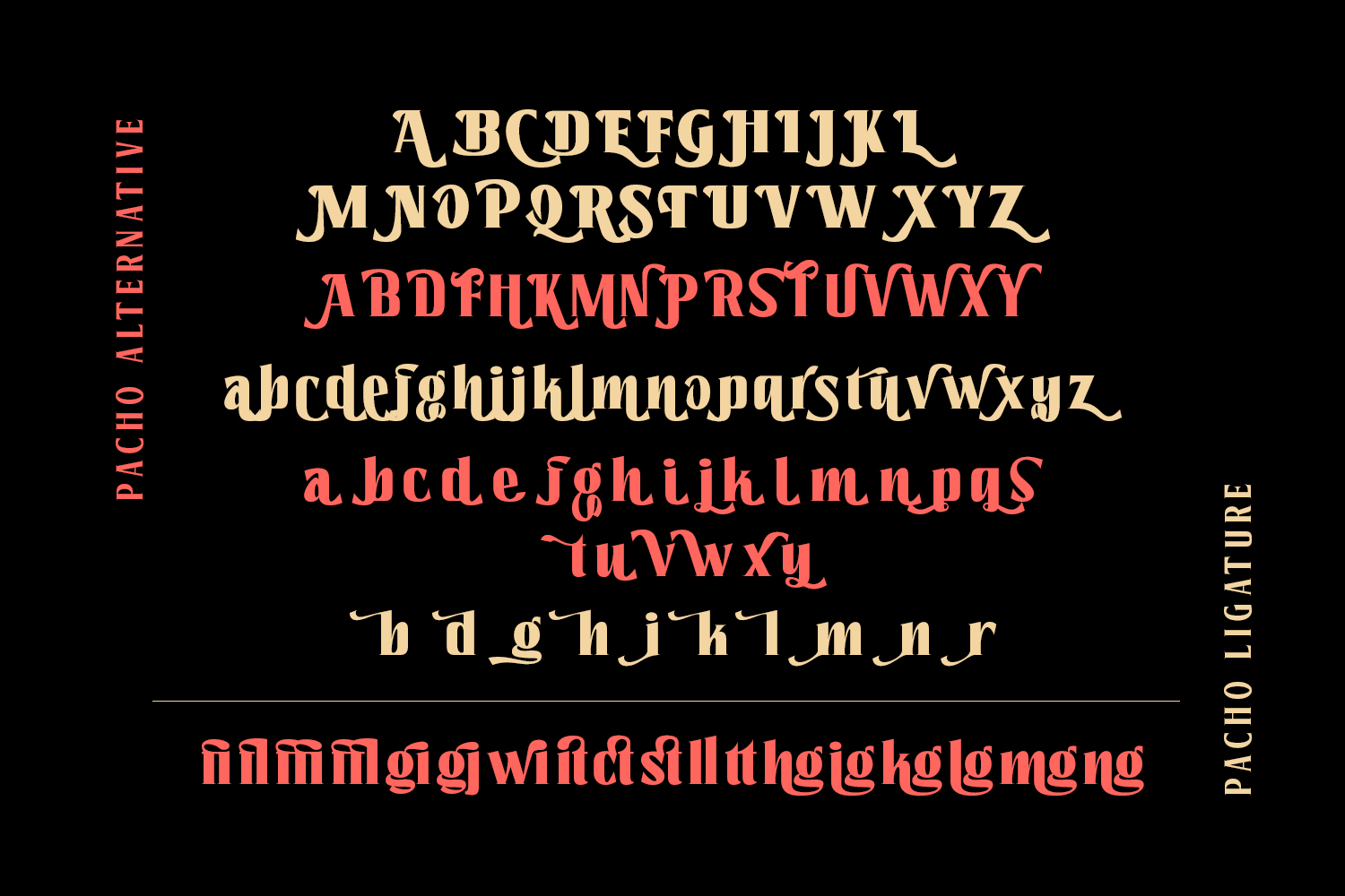Pacho - Serif Family - Image 10