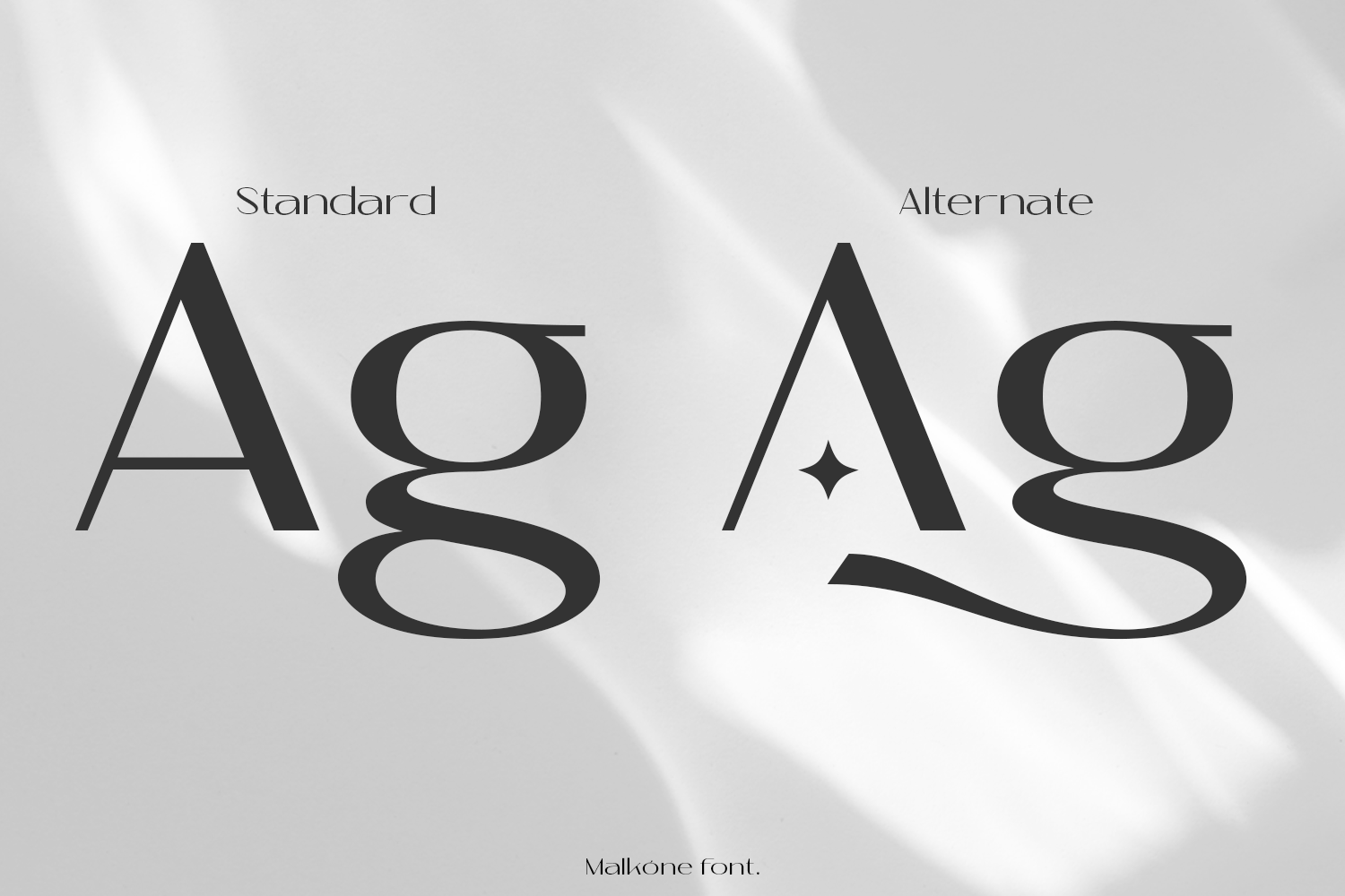 Malkone - Modern Sans - Image 5