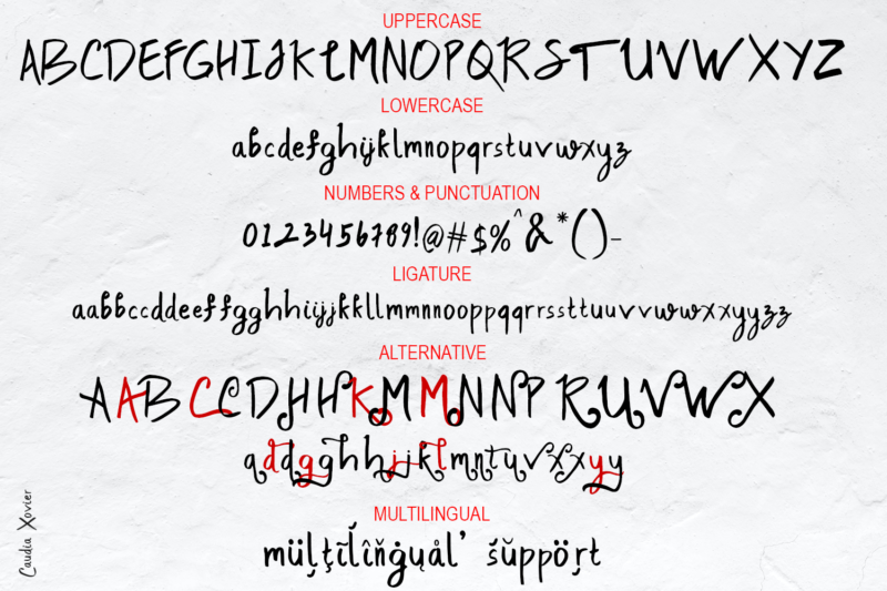Caudia Xovier - Handwritten Font - Image 3