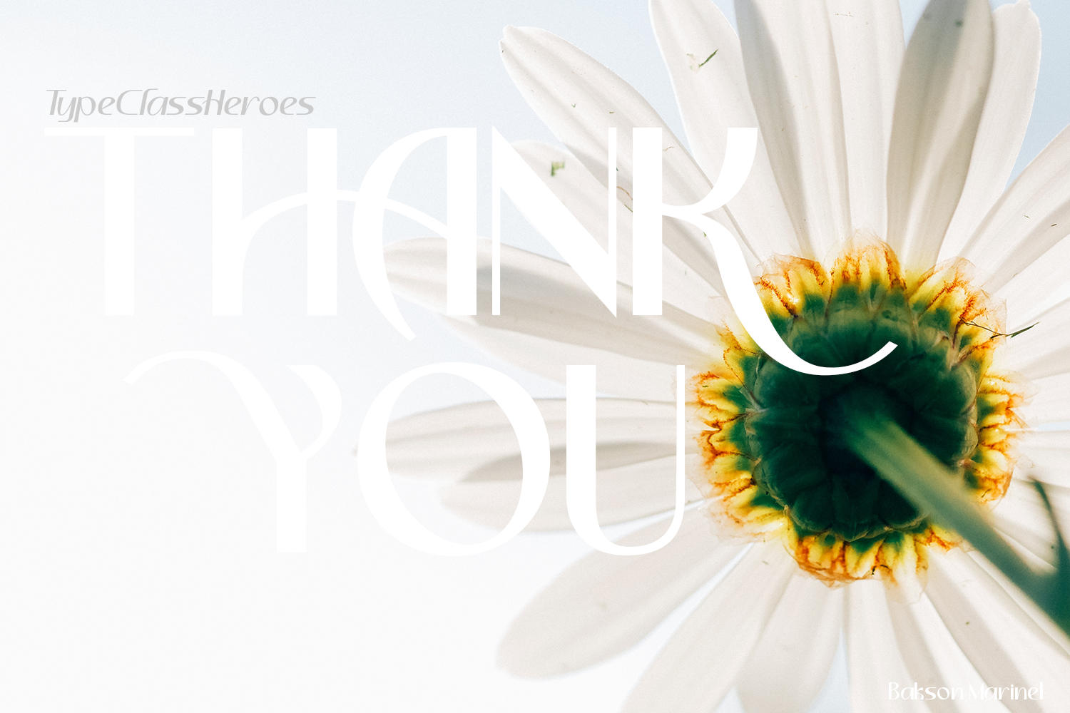 Bakson Marinel - Modern Display Sans - Image 13