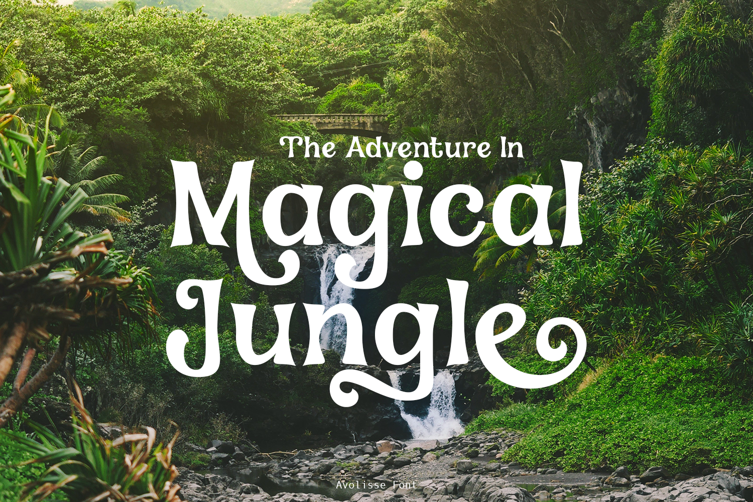 Avolisse Classic Font - Image 3