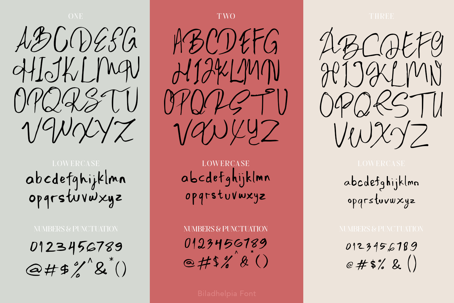 Biladhelpia Handwritten Font - Image 5