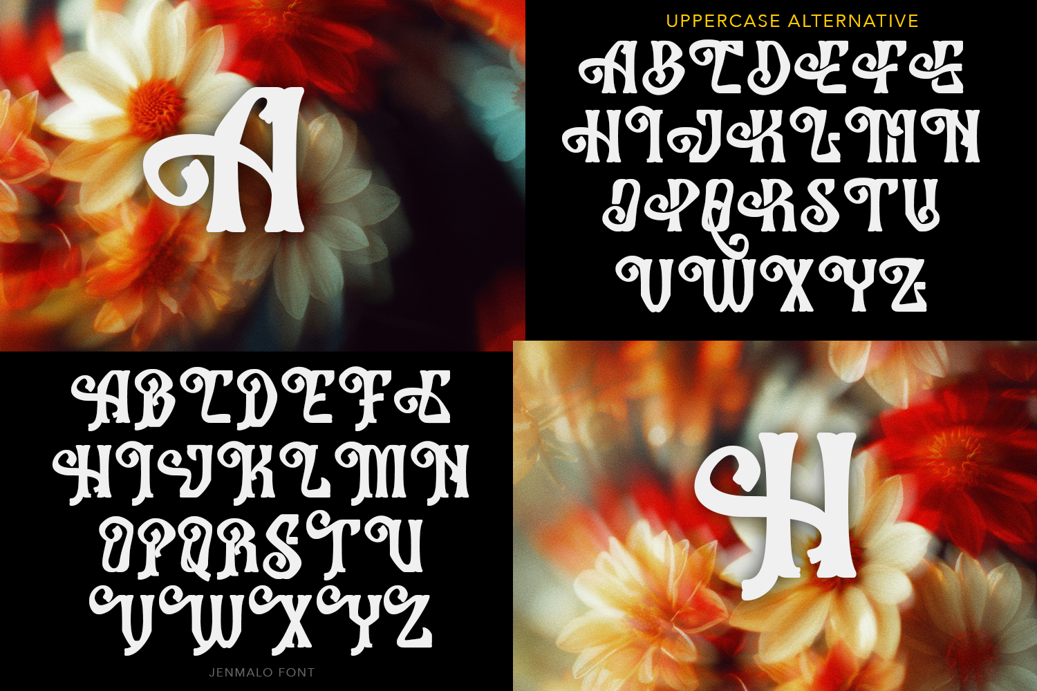 Jenmalo Display Font - Image 12