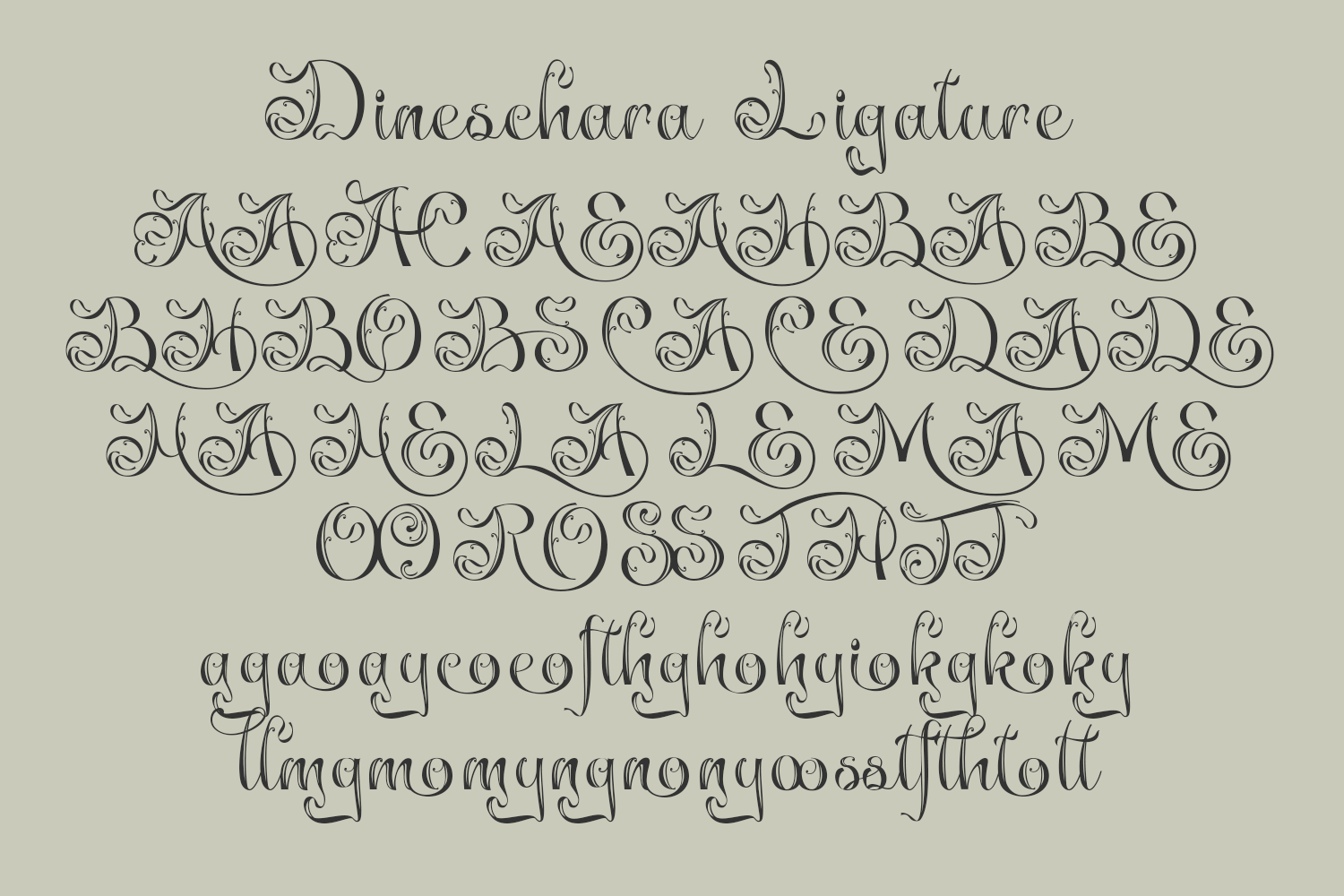 Dineschara Elegant Script - Image 10