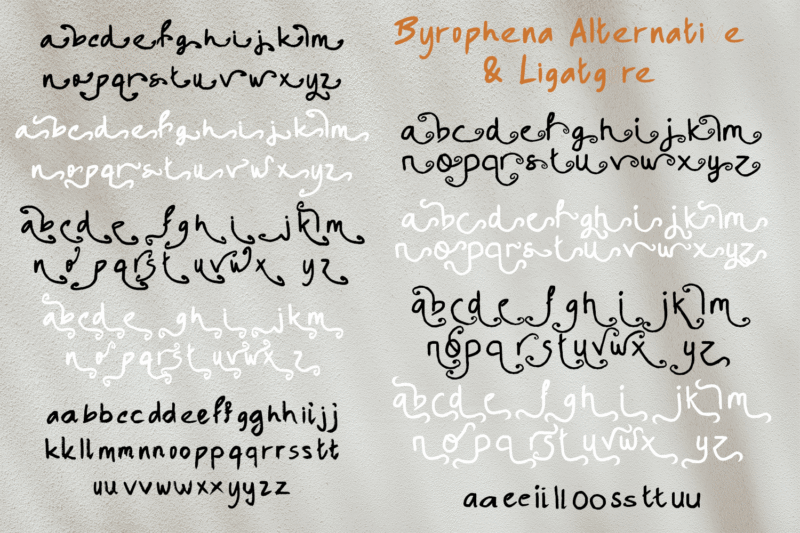Byrophena Brush Fontduo - Image 10