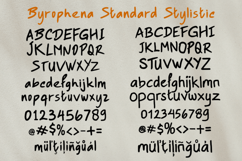 Byrophena Brush Fontduo - Image 6