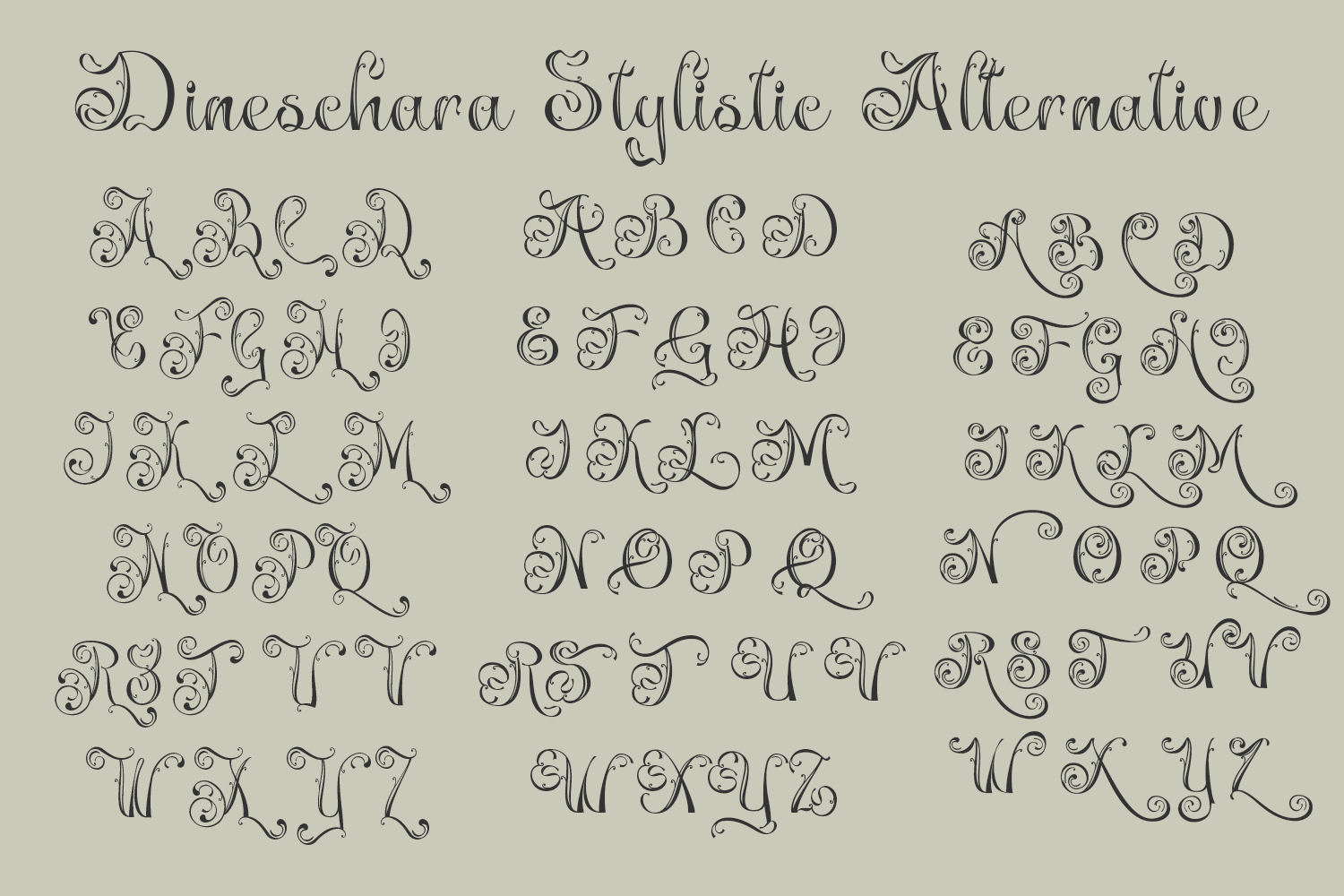 Dineschara Elegant Script - Image 8
