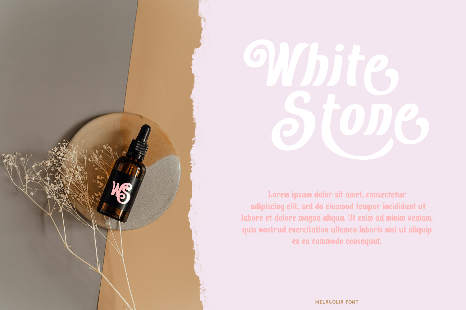 Melagolia Retro Script - Image 8