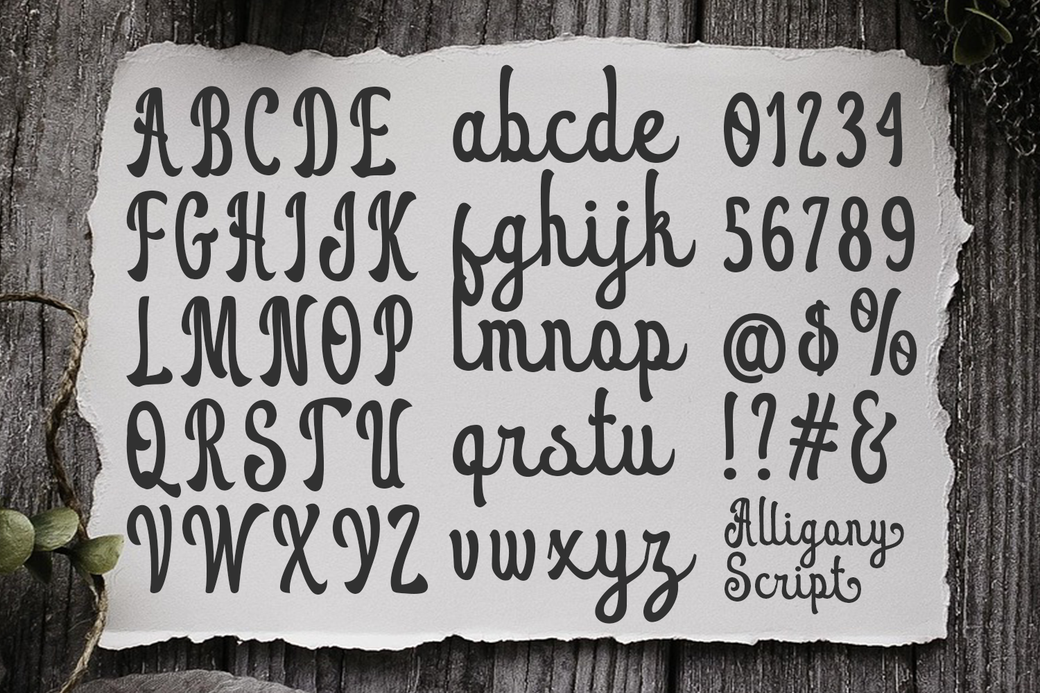 Alligony Retro Script - Image 4