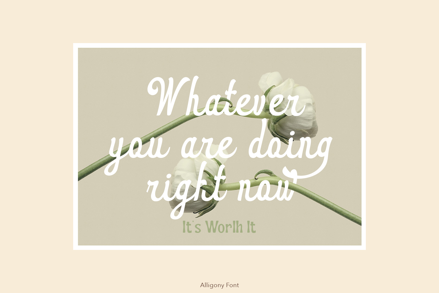 Alligony Retro Script - Image 8