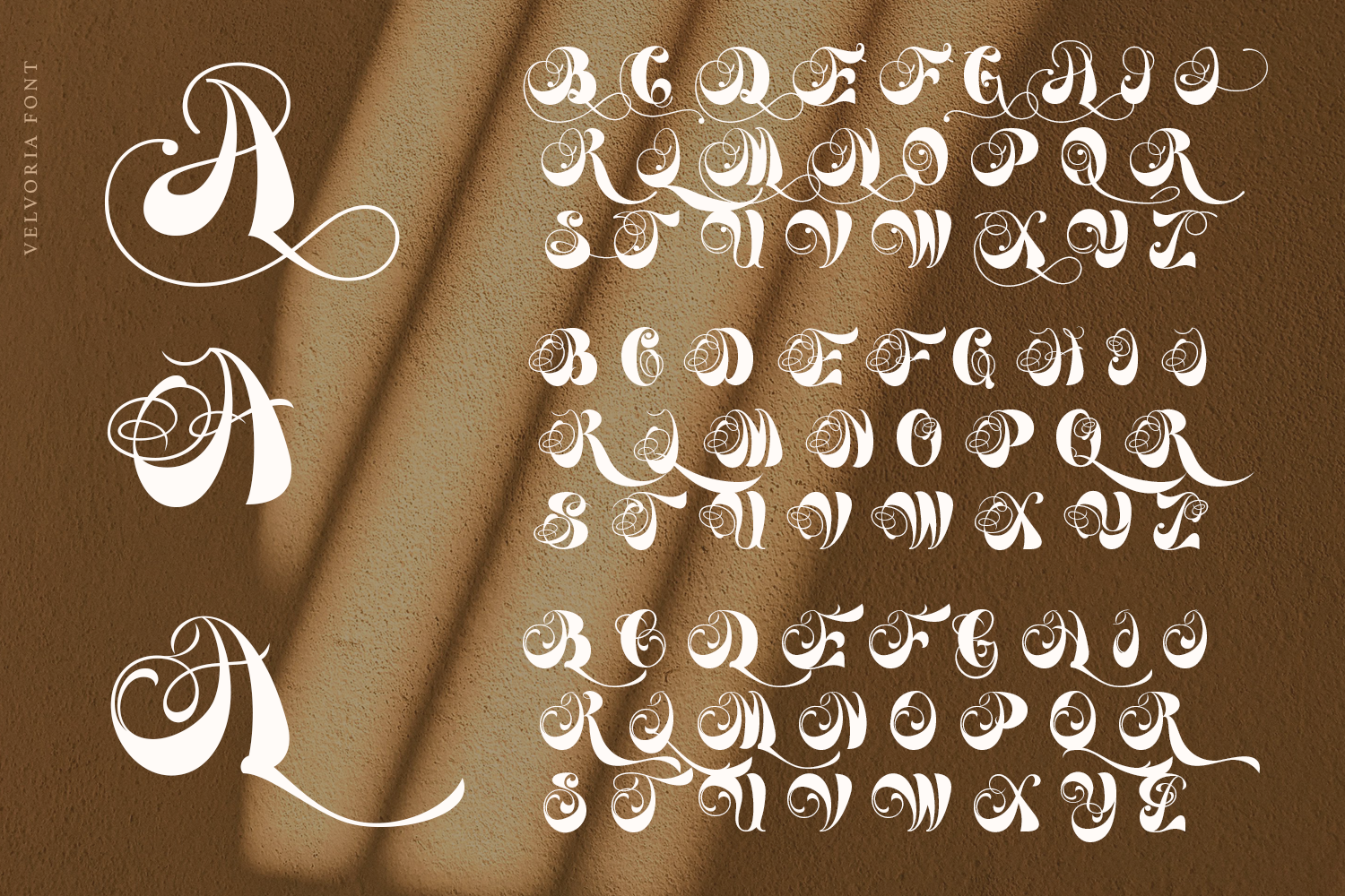 Velvoria Romantic Script - Image 9