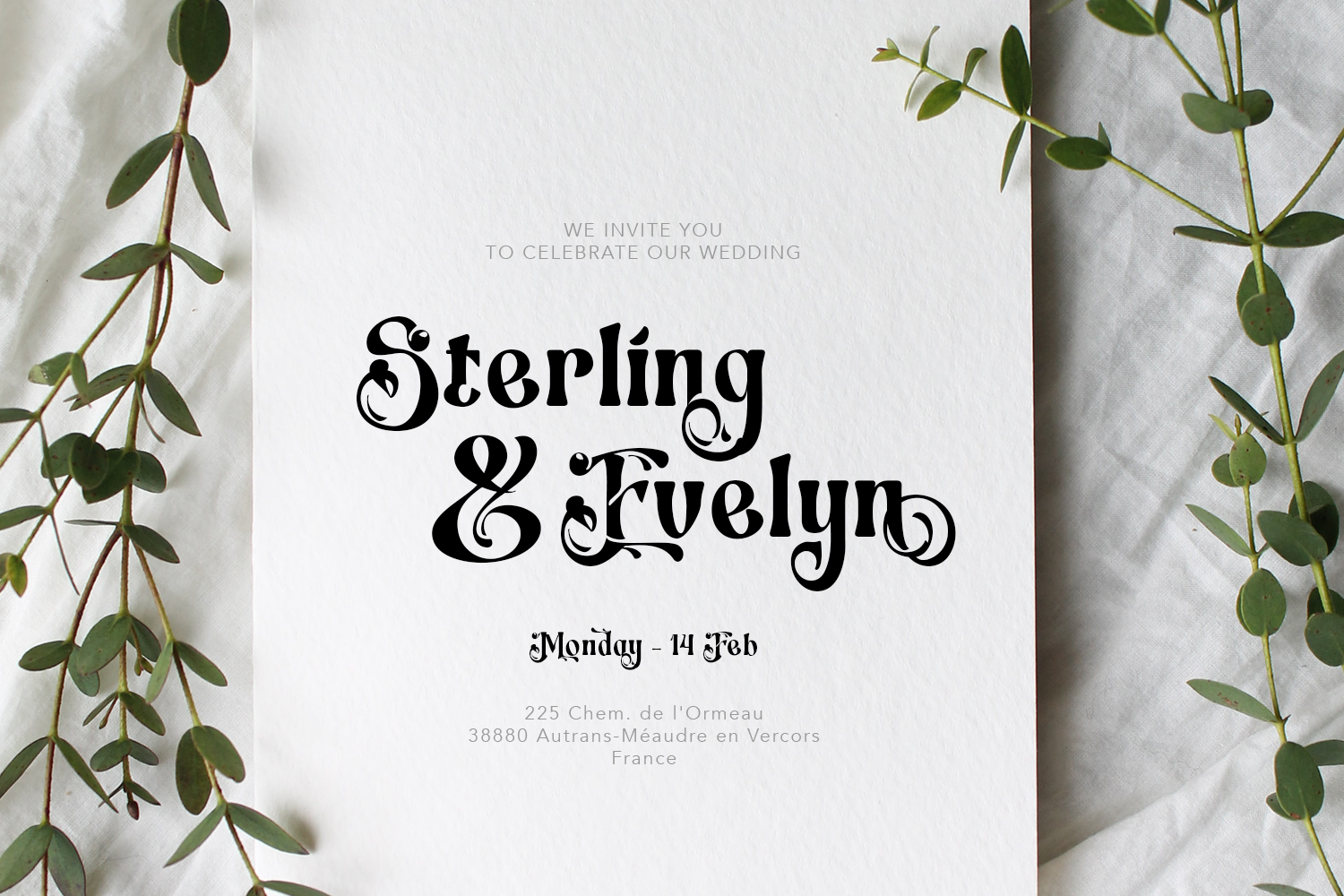 Switella - Modern Decorative Font - Image 6