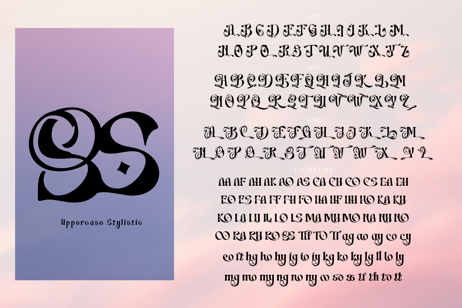 Switella - Modern Decorative Font - Image 9