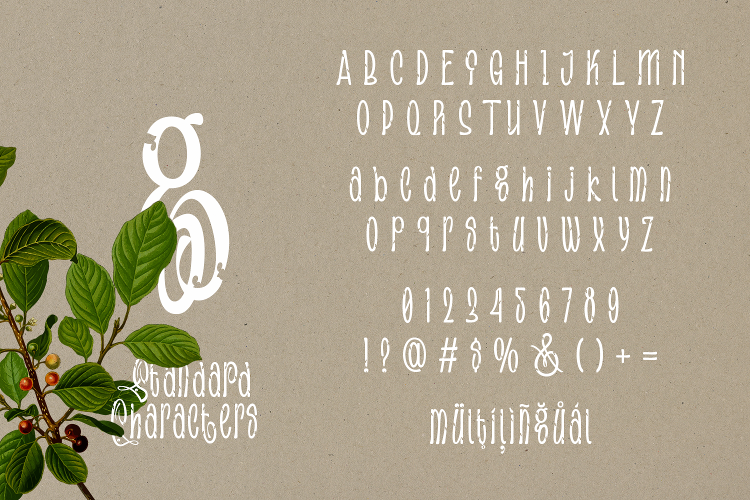 Focasino - Handwritten Font - Image 5