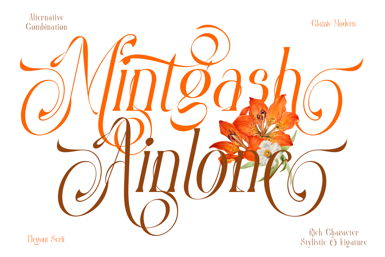 Mintgash Ainlone - Elegant Serif - Image 2