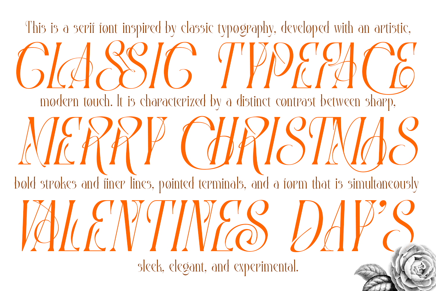 Mintgash Ainlone - Elegant Serif - Image 5